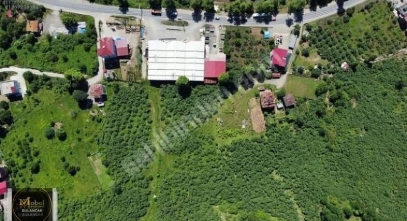 PAZARSUYU KÖYÜ DENİZ MANZARALI FIRSAT ARSA